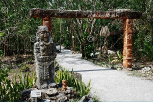 Punta Cana: Ecological Reserve 4x4 Tour with Tastings