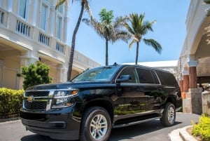 Punta Cana: Elohim Private Royal Transfer