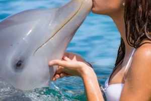 Punta Cana: njut av delfiner, gratis upphämtning från hotellet