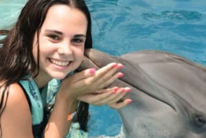 Punta Cana: njut av delfiner, gratis upphämtning från hotellet