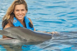 Punta Cana: njut av delfiner, gratis upphämtning från hotellet