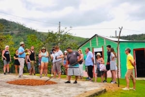 Passeio épico em Punta Cana: Quadriciclo, ATV & Cavalo com paragem na praia