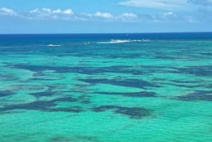 Punta Cana: tour exclusivo em catamarã privado para a Ilha Saona – serviço VIP