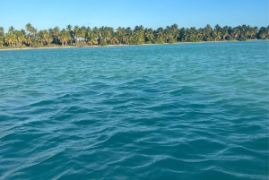 Punta Cana: Exclusive Private Catamaran Tour to Saona Island – VIP Service