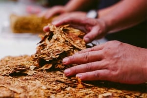 Punta Cana: Excursion to Higuey, Basilica, tobacco factory, and local market