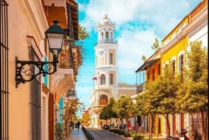 Punta Cana: Vive la esencia de Santo Domingo con almuerzo y Zona Colonial