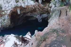 Punta Cana: Vive la esencia de Santo Domingo con almuerzo y Zona Colonial