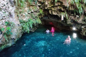 Punta cana: Extremt Atv-äventyr hästrygg & fantastisk cenote