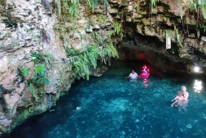 Punta cana: Extremt Atv-äventyr hästrygg & fantastisk cenote