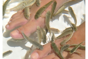 Punta Cana Floating Ocean Spa Experience with Massage & Yoga