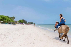 Punta Cana: Full-Day Adventure with Lunch & Drinks