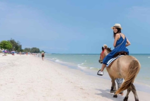 Punta Cana: Full-Day Adventure with Lunch & Drinks