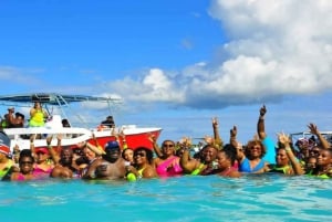 Punta Cana: Full-Day Adventure with Lunch & Drinks