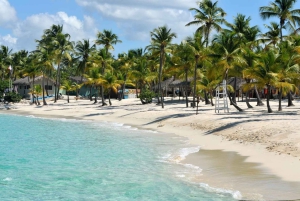 Punta Cana: Ganztägige Bootsfahrt zur Insel Catalina mit Mittagessen