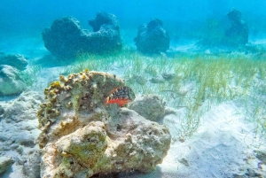 Punta Cana: Ganztägige Bootsfahrt zur Insel Catalina mit Mittagessen