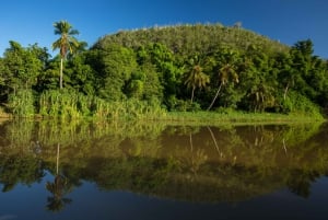 Punta Cana: Ganztägige Bootsfahrt zur Insel Catalina mit Mittagessen