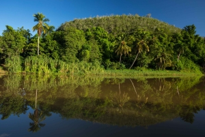 Punta Cana: Full Day Boat Trip to Catalina Island with Lunch