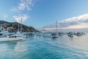 Punta Cana: Full Day Boat Trip to Catalina Island with Lunch