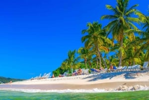 Punta Cana: Samaná Cayo Levantado og El Limón-fossen tur