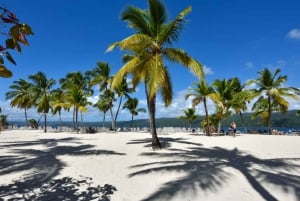 Punta Cana: Excursión a Samaná Cayo Levantado y Cascada El Limón