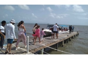 Punta Cana: Samaná Cayo Levantado e Cachoeira El Limón