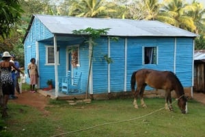 Punta Cana: Samaná Cayo Levantado og El Limón-fossen tur