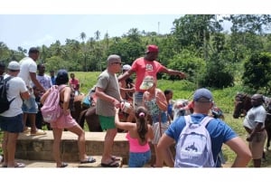 Punta Cana: Excursión a Samaná Cayo Levantado y Cascada El Limón