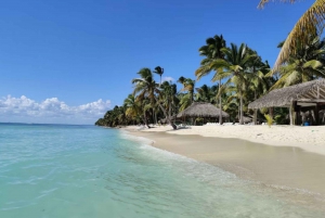 Excursion to Saona Island:Tropical Paradise whit Lunch