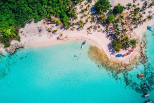 Escursione all'isola di Saona: paradiso tropicale con pranzo