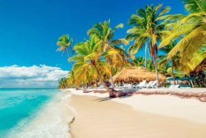 Excursion à l'île de Saona : Paradis tropical avec déjeuner