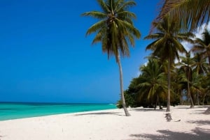 Punta Cana: Full-Day Saona Island Boat Trip