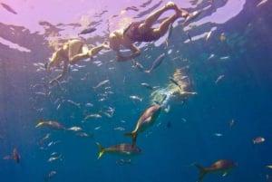 Punta Cana: Full-Day Snorkeling Tour to Catalina Island