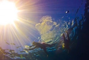 Punta Cana: Full-Day Snorkeling Tour to Catalina Island