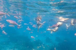 Punta Cana: Full-Day Snorkeling Tour to Catalina Island