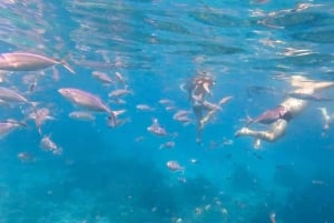 Punta Cana : visite d'une jounée de plongée avec tuba à l'île Catalina