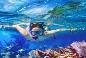 Punta Cana : visite d'une jounée de plongée avec tuba à l'île Catalina