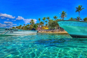 Punta Cana: Full-day Snorkelling Tour in Catalina Island