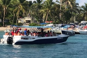 Пунта-Кана: поездка на остров Саона на целый день (всё включено)