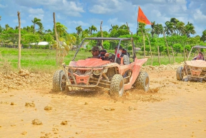 Punta Cana Full Tour. Selva, Cueva Taína, Playa Macao, Zipline y Caballo.