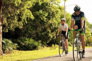 Punta Cana: Guided Bike Tour with Cenote Swim & Snacks