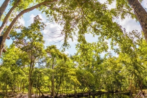 Punta Cana: Guided Eco Walk with Dominican Food Tasting