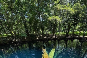 Punta Cana: Guided Eco Walk with Dominican Food Tasting