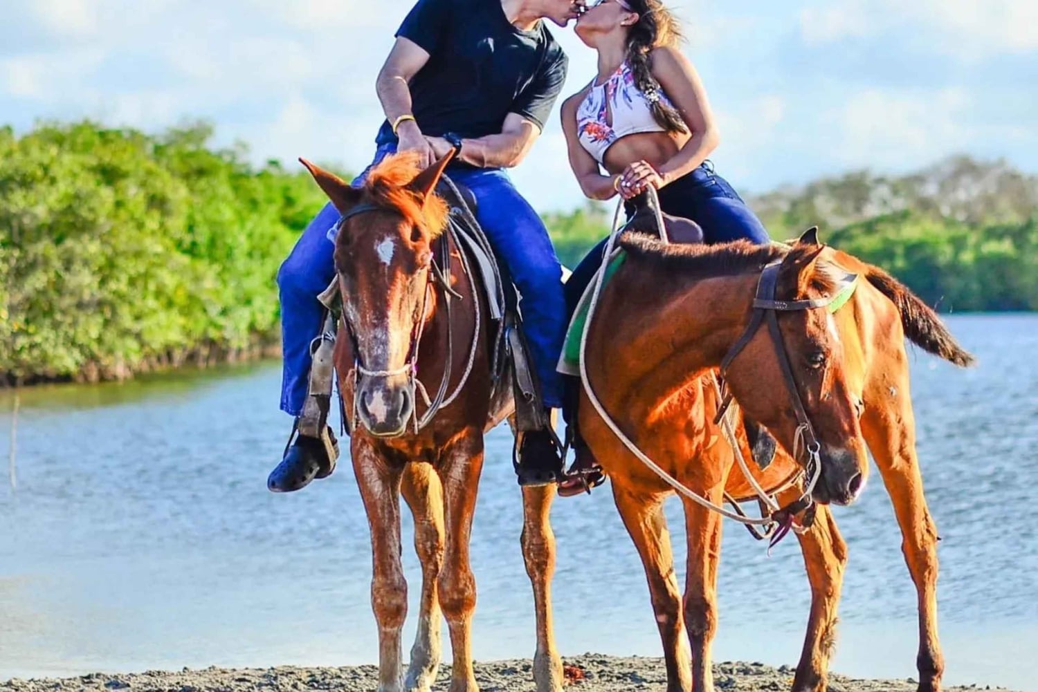 Punta Cana: Guided Horseback Tour of Beaches and Fields