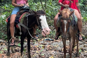Punta Cana: Guided Horseback Tour of Beaches and Fields