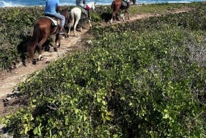 Punta Cana: Guided Horseback Tour of Beaches and Fields