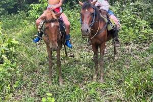 Punta Cana: Guided Horseback Tour of Beaches and Fields