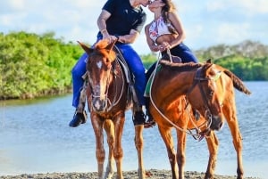 Punta Cana: Guided Horseback Tour of Beaches and Fields