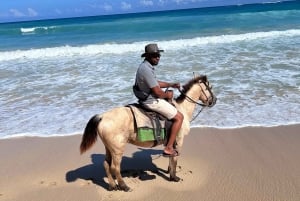 Punta Cana: Guided Horseback Tour of Beaches and Fields