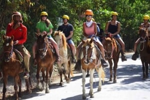 Punta Cana: Guided Horseback Tour of Beaches and Fields