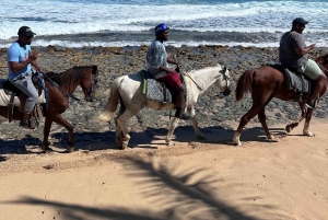 Punta Cana: Guided Horseback Tour of Beaches and Fields